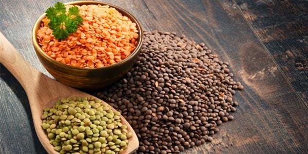 «العدس»..بديل للحوم.. وكنز للصحة 