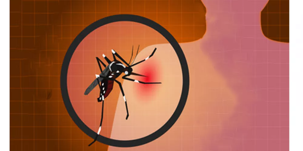 الصين تشن حرباً شاملة ضد “شيكونغونيا” بأساليب تذكر بأزمة كورونا 