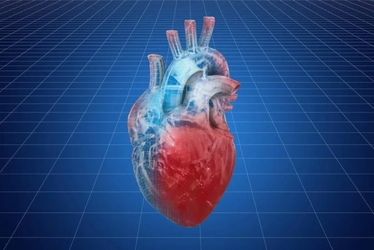سلوكيات صحية للقلب تفيد الدماغ والرئة والسمع والعيون والعضلات 
