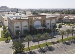 كليتا الطب والصيدلة بجامعة الطائف تحققان نتائج متميزة في اختبار الرخصة السعودية لمزاولة المهنة “SMLE”