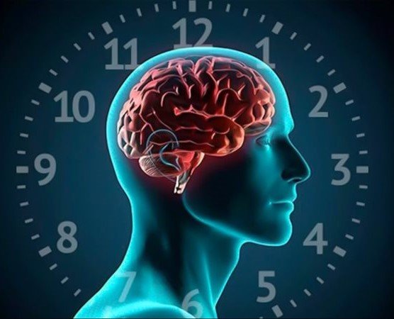 اضبط ساعتك البيولوجية لتحمي صحتك 