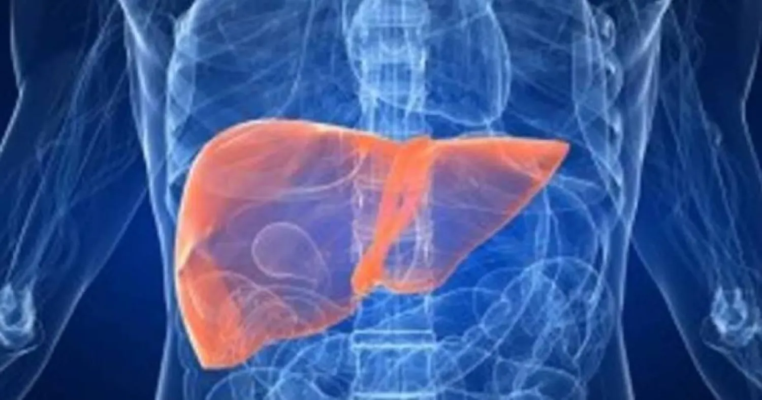 القهوة وتقليل السكر…عادات يومية تحمي الكبد 