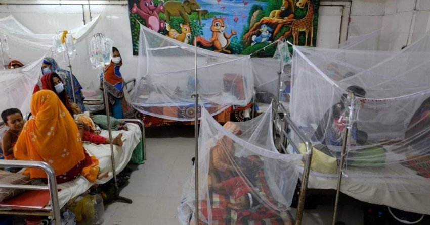 50 ألف إصابة و215 حالة وفاة في بنجلاديش بحمى الضنك 