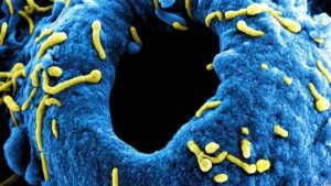 الصحة العالمية تحذر من فيروس ماربورغ “القاتل”..