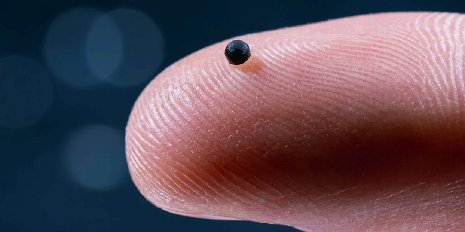 روبوتات مغناطيسية متناهية الصغر تذيب جلطات الدماغ بدقة عالية 