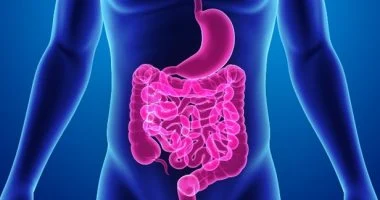 علاجات منزلية آمنة لتنظيف القولون والحفاظ على صحة الجهاز الهضمي 