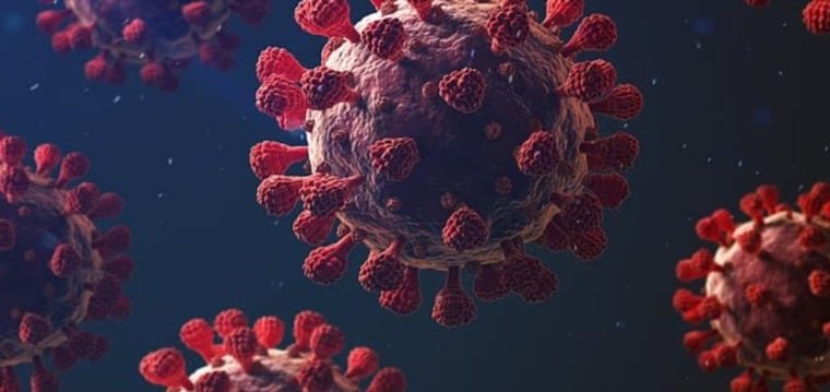 واشنطن تعلن أول إصابة بشرية بفيروس H5N5.. 