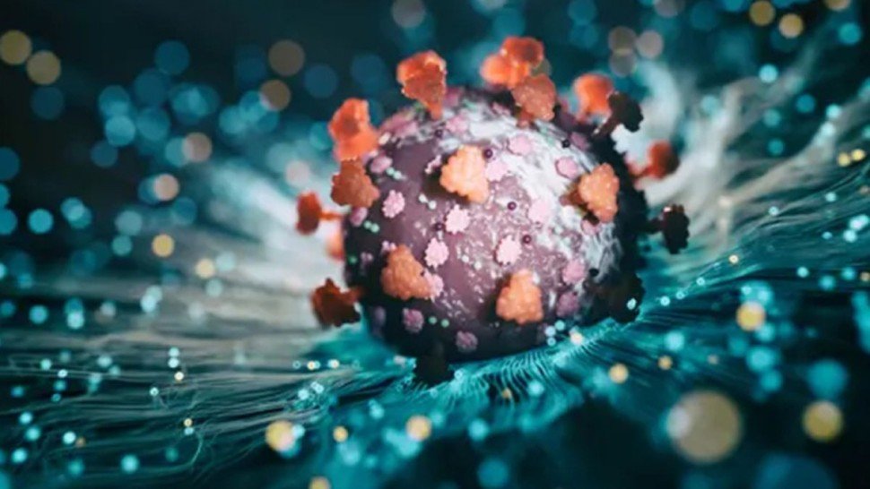 القارة الأفريقية تسجل أكثر من 200 وباء سنويًا 