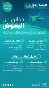 البعوض ليس إزعاجاً فقط… بل ناقل لعدة أمراض!