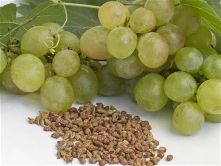 طموح الـ 120 عاماً: شركة صينية تسعى لتطوير حبوب تعتمد على “بذور العنب” لإطالة عمر الإنسان 