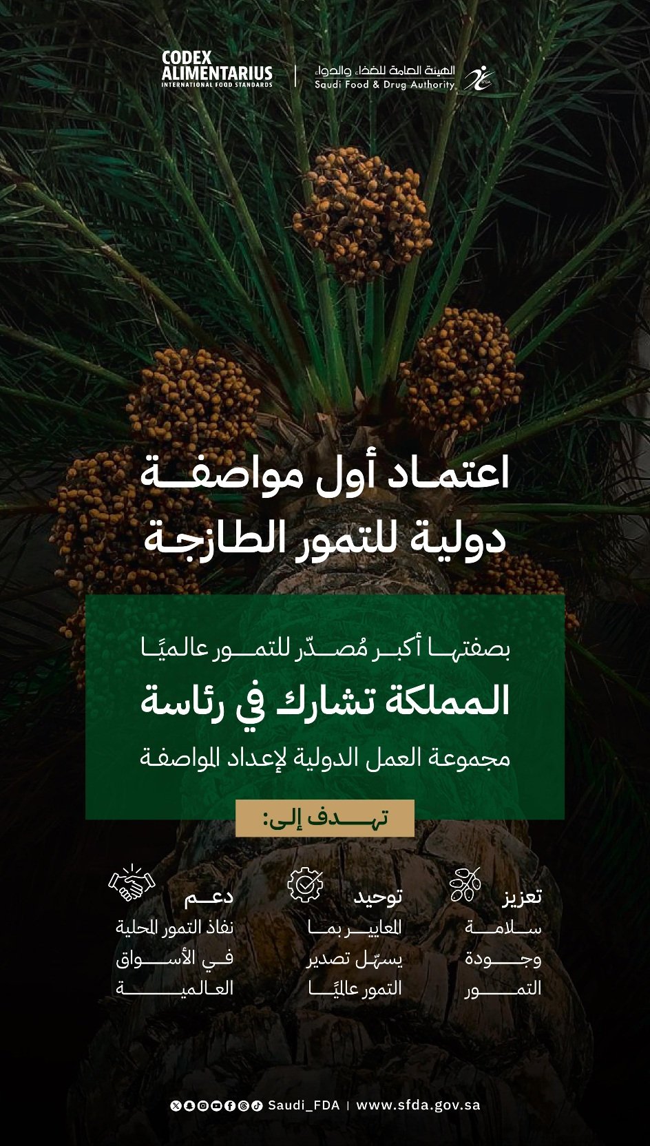 إنجاز دولي جديد يرسخ مكانة المملكة كمركز عالمي لتجارة التمور عبر معيار دولي موحد 