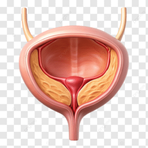 بنسبة 82% ..علاج جديد يقضي على أورام سرطان المثانة لدى معظم المرضى