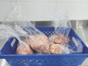 بيئة غير صحية.. إيقاف نشاط بيع دواجن غير نظامي في الخرج