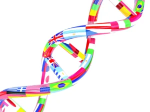 جينات من القرن السابع الميلادي تعيد كتابة التاريخ.. أدلة وراثية تؤكد التنوع في إنجلترا الأنجلوساكسونية