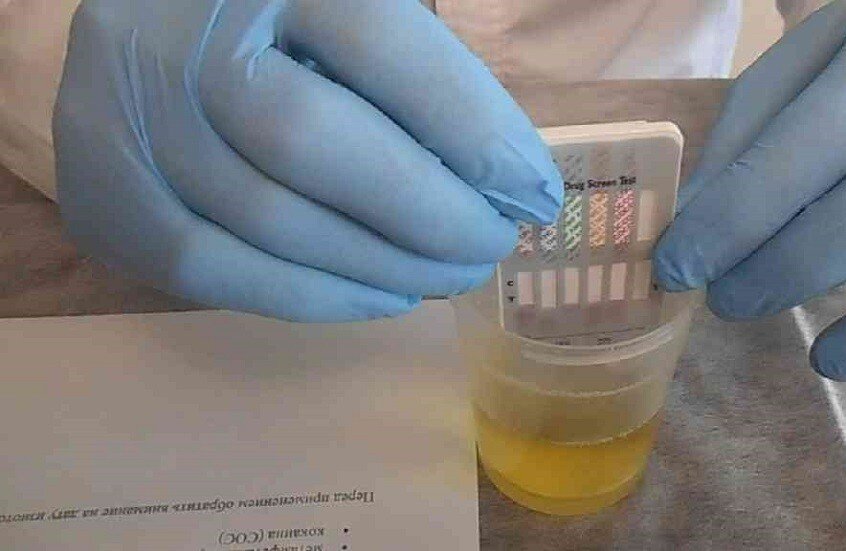 اختبار بدولار وبدون مختبر.. مستشعر بصري يغير لونه للكشف السريع عن التسمم بالرصاص 