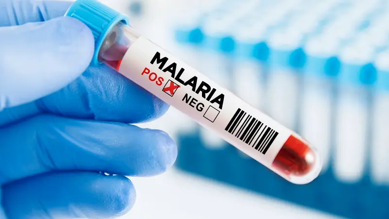 أقمشة بالمبيدات تحمي من الملاريا 