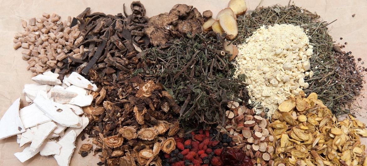 نيودلهي تستضيف القمة العالمية الثانية للطب التقليدي لدعم الرعاية الصحية الشاملة 