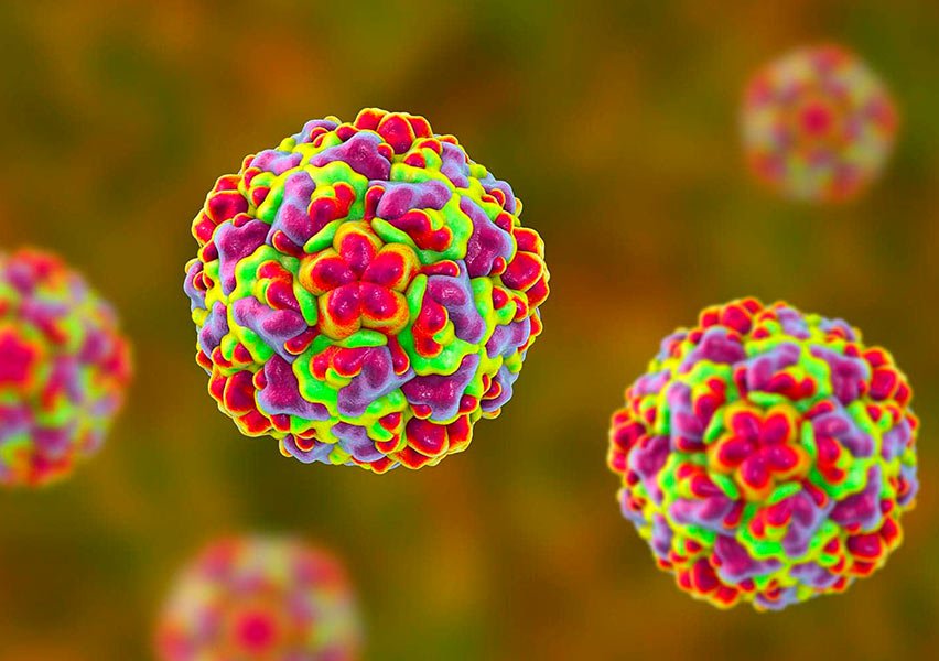 استشاري: 6 علامات تميز “الراينو فيروس” المسبب لنزلات البرد 