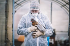 تحذير علمي: 48 ساعة فقط قد تفصل العالم عن جائحة “إنفلونزا الطيور”