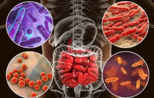 بكتيريا الأمعاء.. المحرك الخفي لجودة النوم العميق