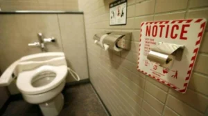 “البراز الشبحي”.. مؤشر الطبيعة على كفاءة الجهاز الهضمي