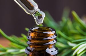 “إكليل الجبل”.. حارس الذاكرة الجديد في مواجهة الآثار الجانبية للعلاج الكيميائي