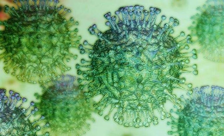 قنابل موقوتة.. “إنفلونزا الأبقار” و”كورونا الكلاب” يهددان الصحة العالمية 