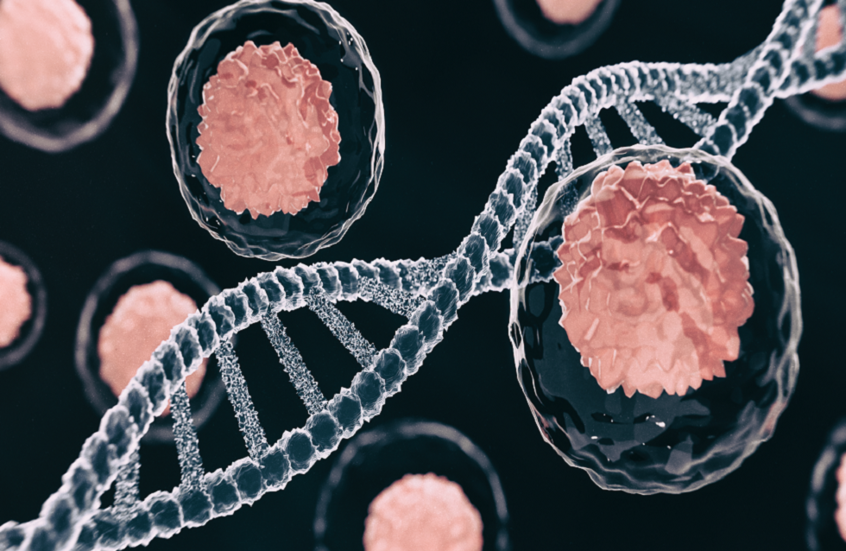 هل ينهي بروتين “NPM1” معاناة مرضى سرطانات الأمعاء والكبد؟ 