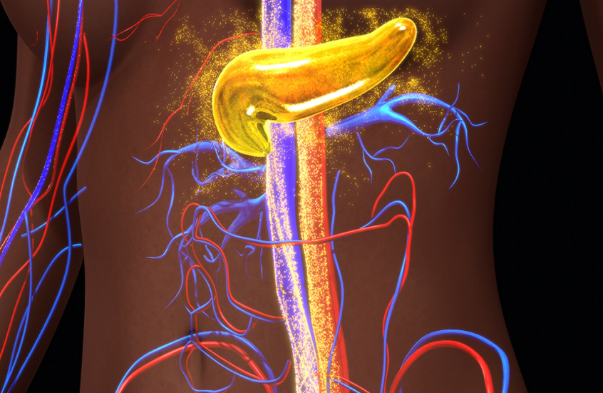 خطة الهروب من السكري.. خلايا تغير هويتها لتنجو 