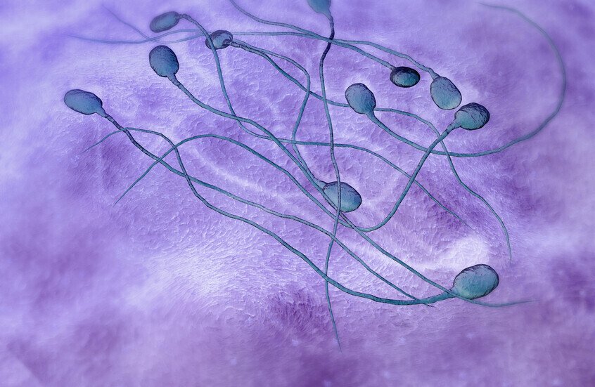 “سموم ذكية” داخل الثمار.. هل تقتل المبيدات الحشرية خصوبة الرجال؟ 