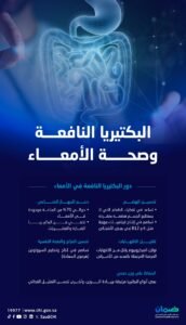 العقل الثاني: كيف ترسم بكتيريا الأمعاء خارطة صحتنا النفسية والجسدية؟