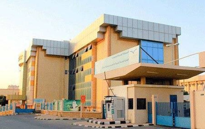 أمانة جدة تنجز فحص 8 آلاف عينة غذائية وتصدر 6500 شهادة صحية خلال ديسمبر 