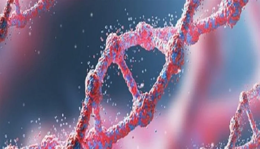 جينات “الأجداد القدامى”.. سر الإيطاليين للعيش أكثر من 100 عام 