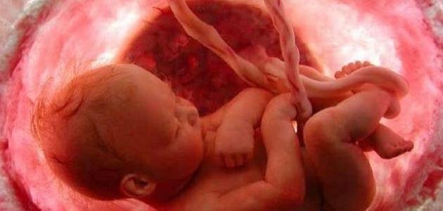 خارطة الطوارئ للحوامل.. نبض النجاة في اللحظات الحرجة 