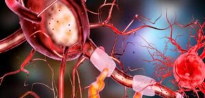 حين يكتب العمر مذكراته على غلاف الخلايا