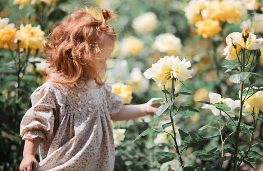 ذكريات الطفولة الضائعة.. من المسؤول؟ 