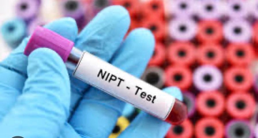 تحركات عاجلة  لمواجهة فيروس نيباه باشتراطات استيراد مشددة 