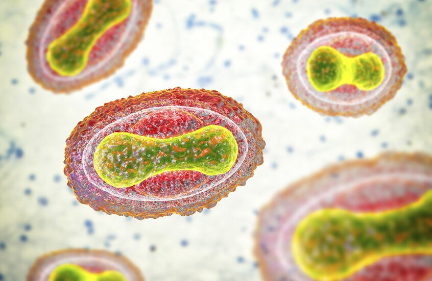 توقف التطعيم منذ 1980 فتح الباب لغزو “جدري القردة” وتحولاته الفتاكة 