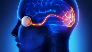 هل تتحول أحلامنا إلى مختبرات ذكية لحل الأزمات المعقدة؟