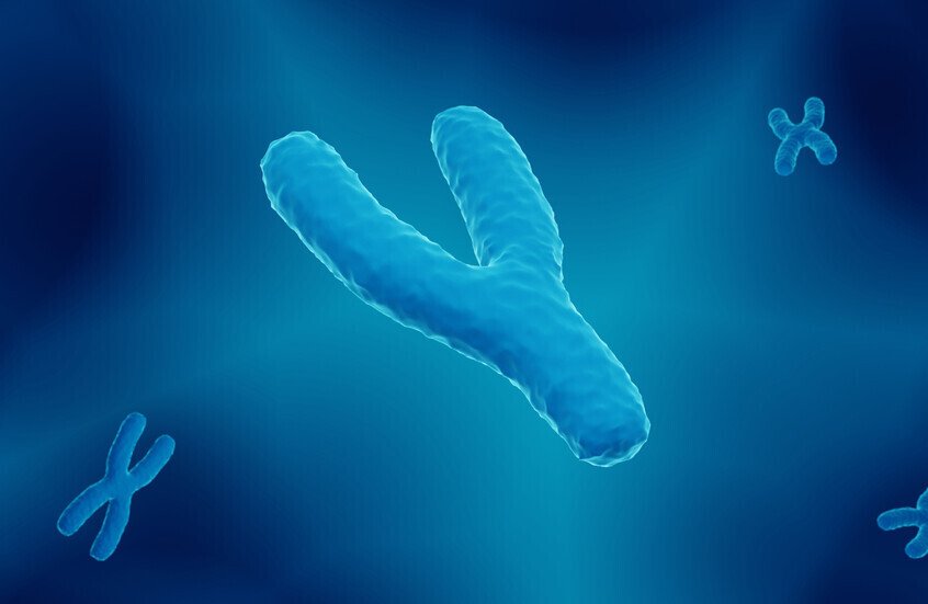 ” ملف خاص” العالم الوردي: لماذا يميل ميزان الولادات نحو الإناث؟ 