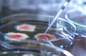 رذاذ الخريف العجيب: لقاح واحد لهزيمة فيروسات الشتاء والحساسية