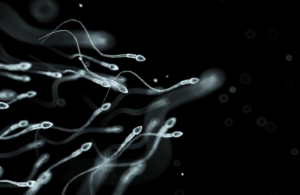 خريف الخصوبة.. لماذا يجب على الرجال الحذر بعد سن الأربعين؟