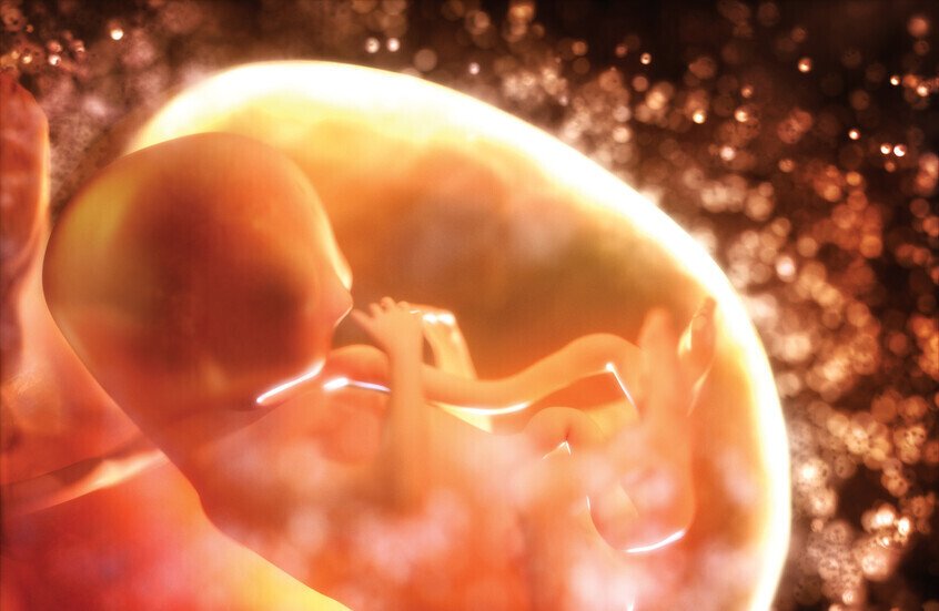 إنجاز طبي تاريخي: الخلايا الجذعية تنجح في عكس تشوهات الدماغ لدى الأجنة 