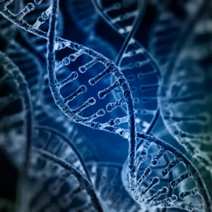 نظام هندسي مذهل يتحكم في بدايات الحياة