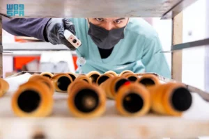 حائل تكثّف جولاتها الرقابية على المنشآت الغذائية لضمان سلامة المستهلكين 1 رقابة1